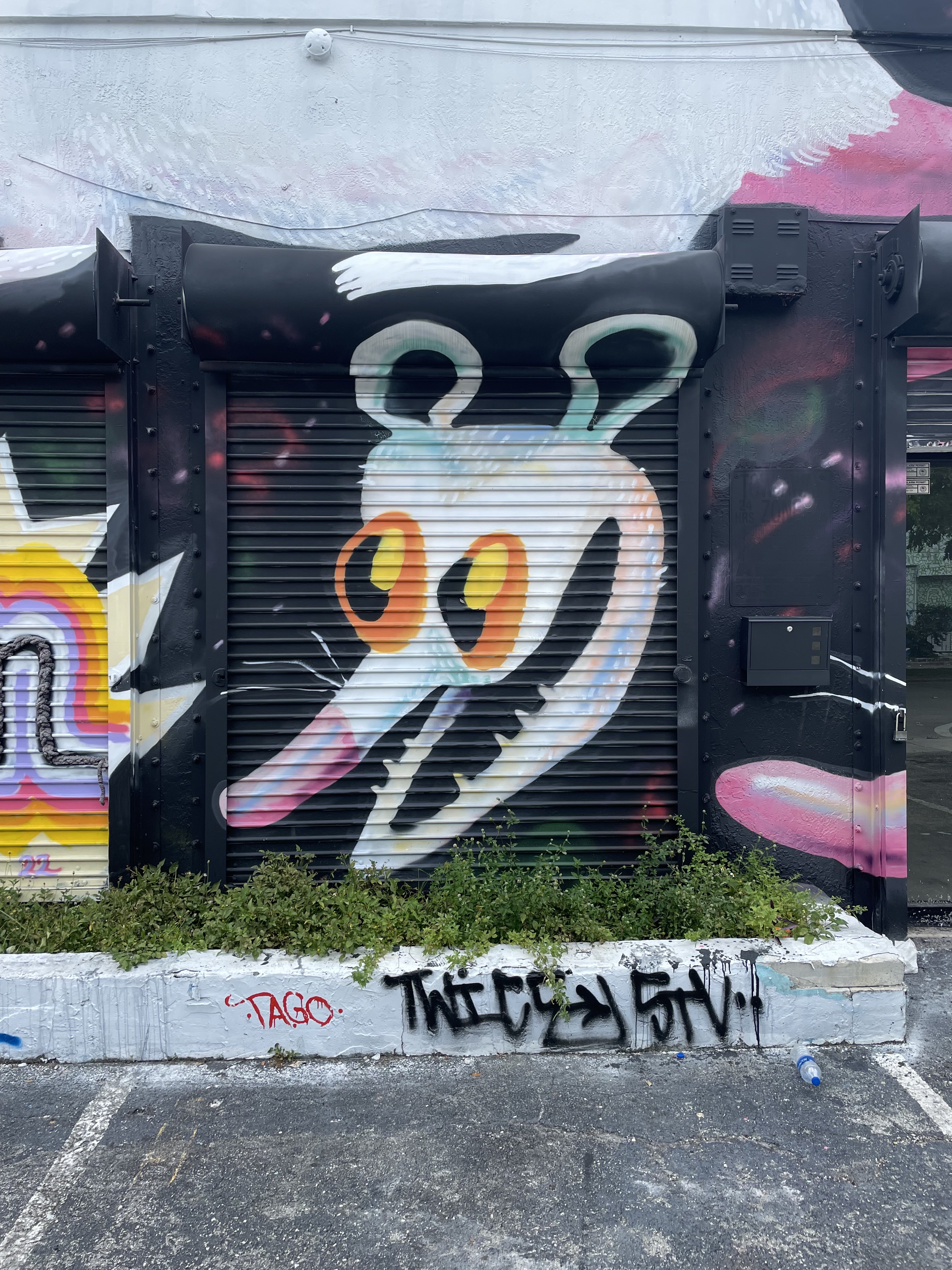 Extremely excited cartoon possum grafitti. Photo by me, grafitti by unknown artist, Wynwood, Miami, FL